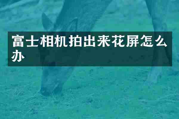 富士相机拍出来花屏怎么办