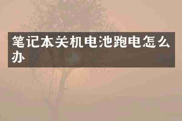 笔记本关机电池跑电怎么办