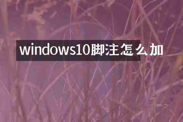 windows10脚注怎么加