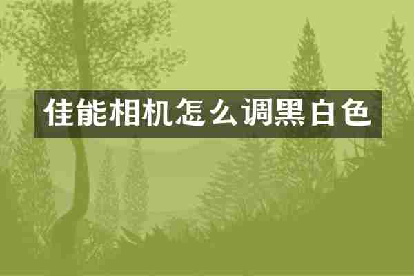 佳能相机怎么调黑白色