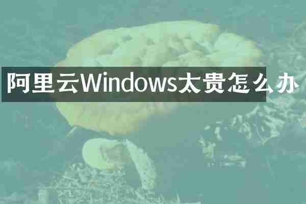 阿里云Windows太贵怎么办