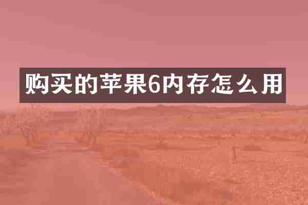 购买的苹果6内存怎么用