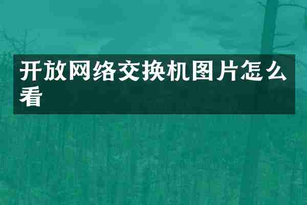 开放网络交换机图片怎么看