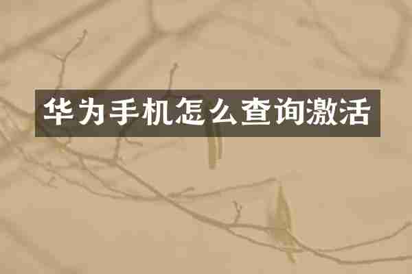华为手机怎么查询激活