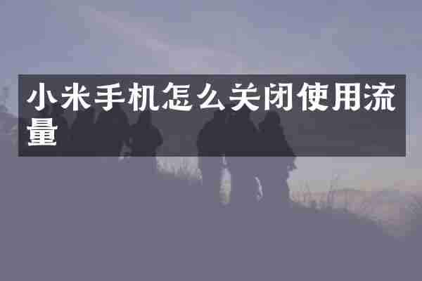 小米手机怎么关闭使用流量