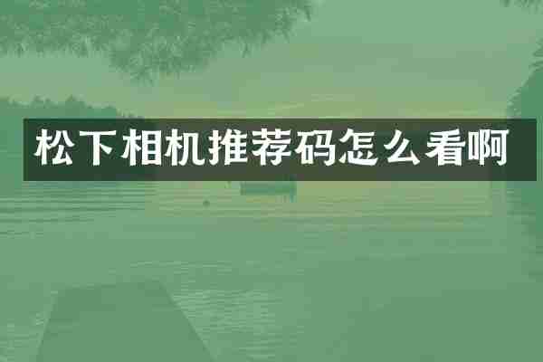 松下相机推荐码怎么看啊