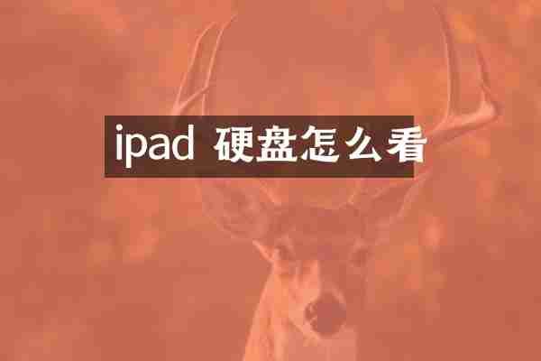 ipad 硬盘怎么看