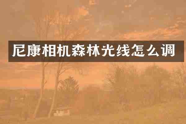 尼康相机森林光线怎么调