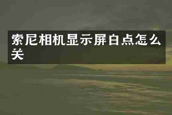 索尼相机显示屏白点怎么关