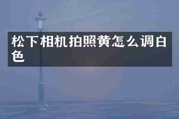 松下相机拍照黄怎么调白色