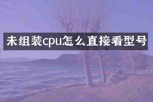 未组装cpu怎么直接看型号
