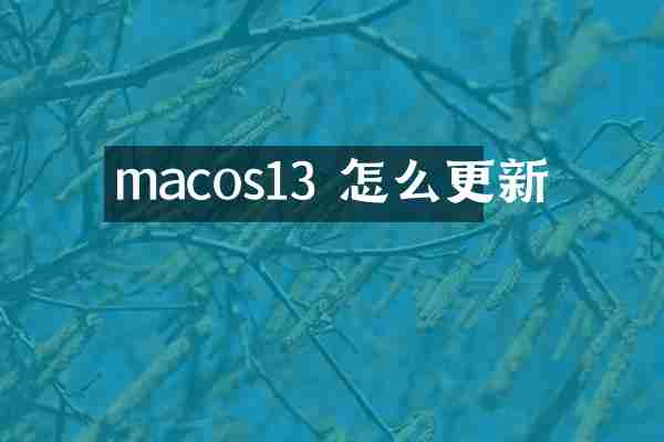 macos13 怎么更新