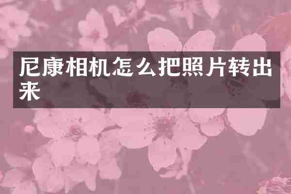 尼康相机怎么把照片转出来