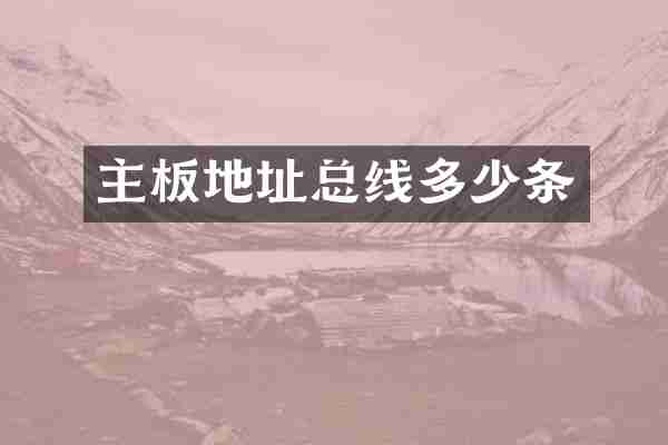 主板地址总线多少条