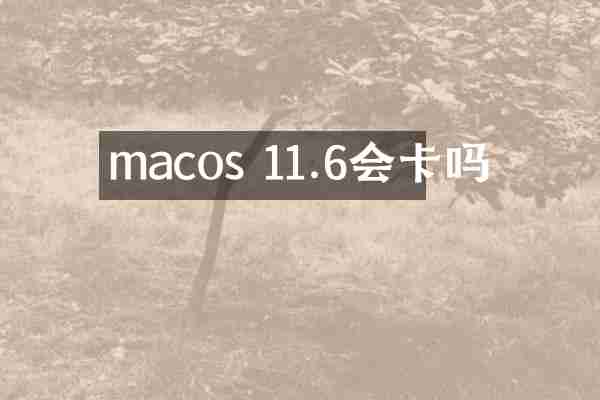 macos 11.6会卡吗