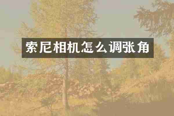 索尼相机怎么调张角