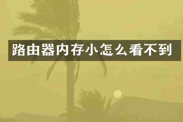路由器内存小怎么看不到