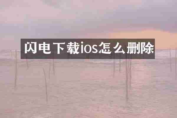 闪电下载ios怎么删除