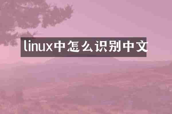 linux中怎么识别中文