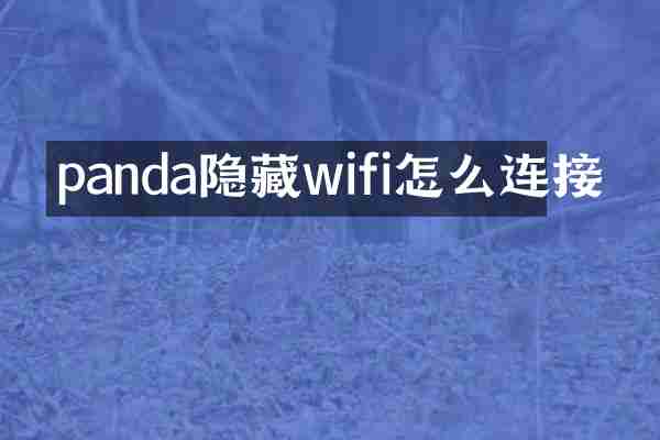 panda隐藏wifi怎么连接