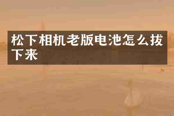 松下相机老版电池怎么拔下来