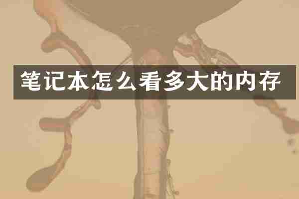笔记本怎么看多大的内存