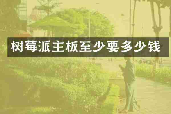 树莓派主板至少要多少钱