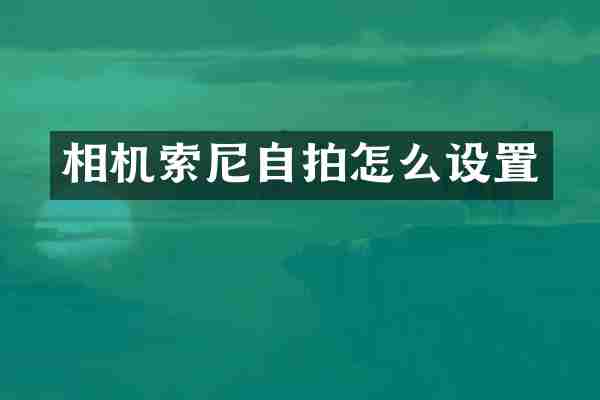 相机索尼自拍怎么设置