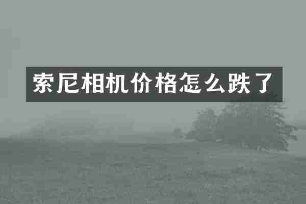 索尼相机价格怎么跌了