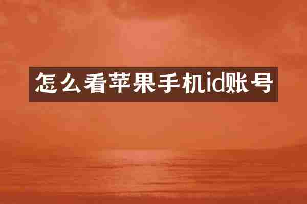 怎么看苹果手机id账号