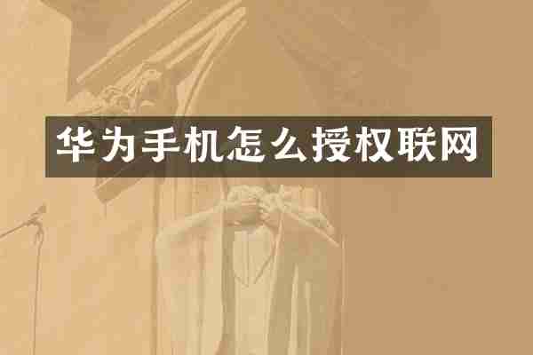 华为手机怎么授权联网
