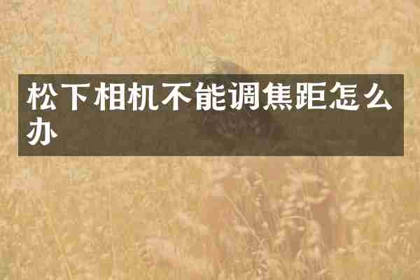 松下相机不能调焦距怎么办