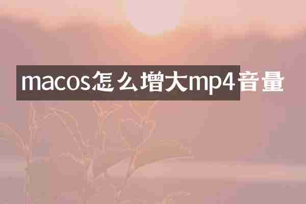 macos怎么增大mp4音量