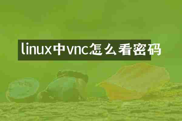 linux中vnc怎么看密码