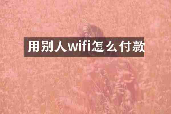 用别人wifi怎么付款
