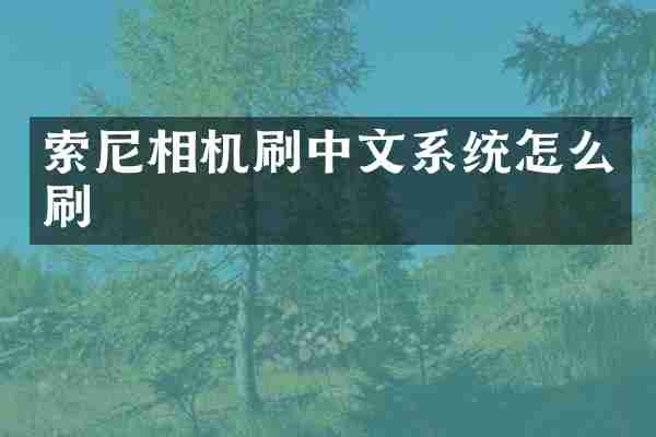 相机刷中文系统怎么刷