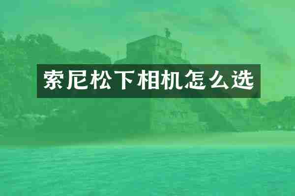 索尼松下相机怎么选