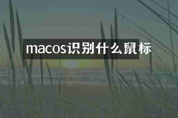 macos识别什么鼠标