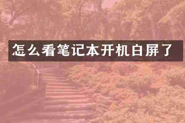 怎么看笔记本开机白屏了