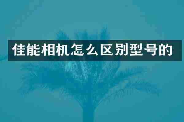 佳能相机怎么区别型号的