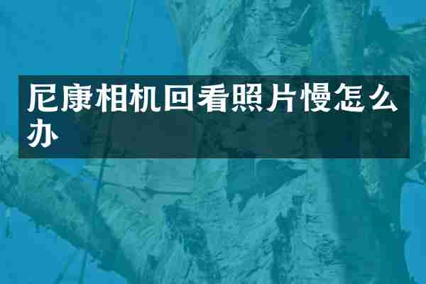尼康相机回看照片慢怎么办