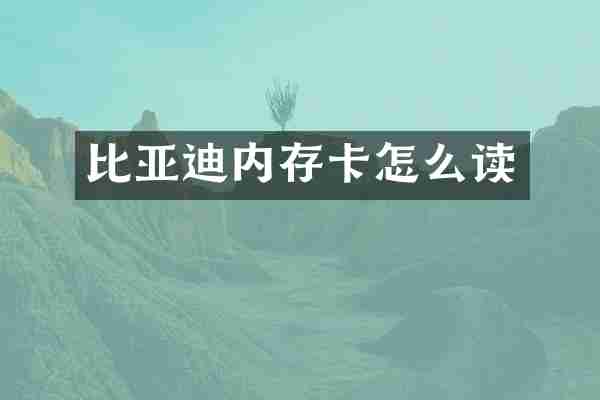 比亚迪内存卡怎么读