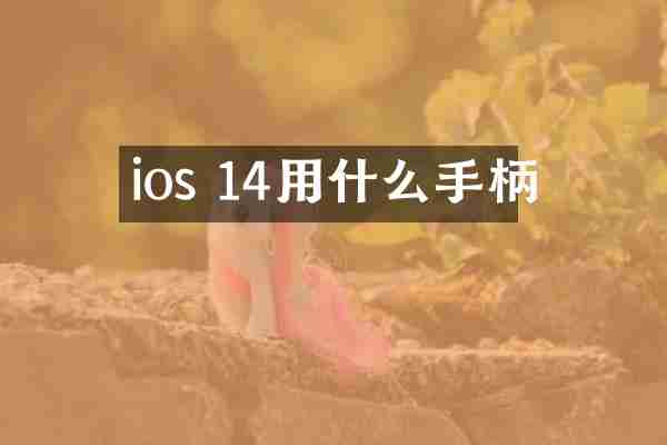 ios 14用什么手柄