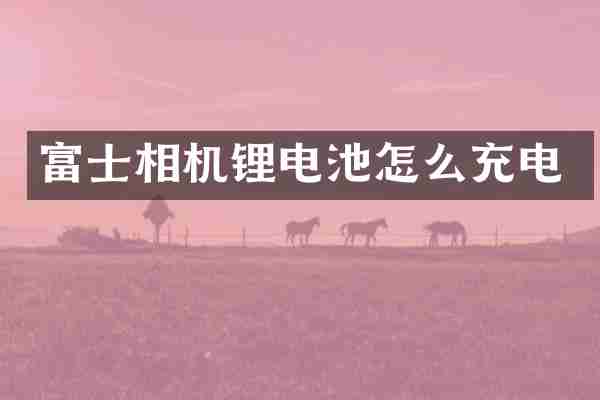 富士相机锂电池怎么充电