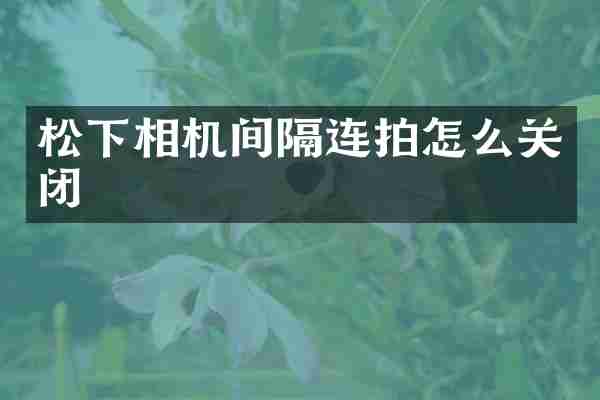 松下相机间隔连拍怎么关闭