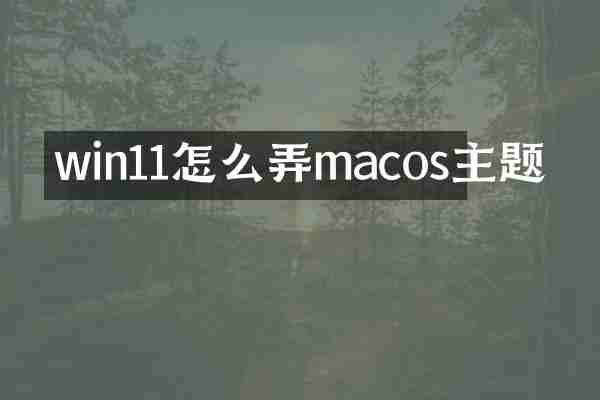 win11怎么弄macos主题
