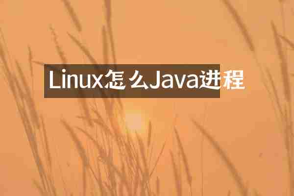 Linux怎么Java进程