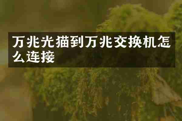 万兆光猫到万兆交换机怎么连接