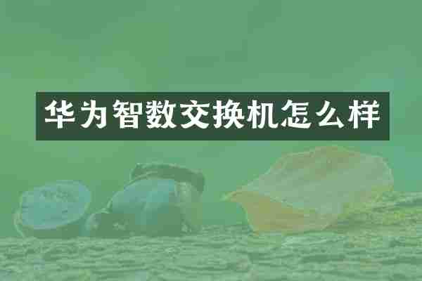 华为智数交换机怎么样