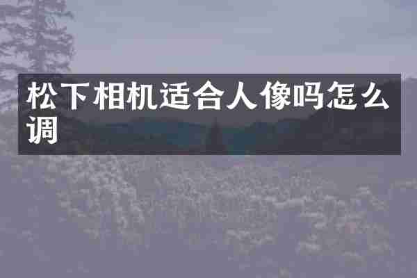 松下相机适合人像吗怎么调